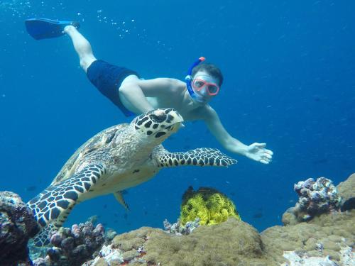 a man swimming next to a turtle in the ocean at Hudhuvelimaldives in Omadhoo