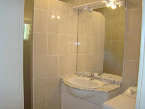 une salle de bain avec un lavabo et un miroir dans l'établissement gîte de l oustalneou, à Cuzorn