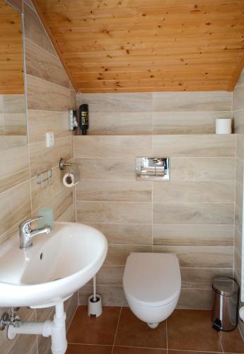 a bathroom with a sink and a toilet at Penzion U Rodinky in Bělá pod Pradědem