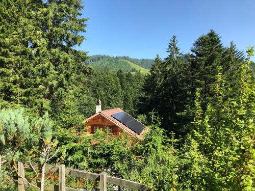 a house in the middle of a forest of trees at Route des Joncs 300 Appartemen in Les Paccots
