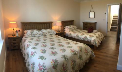 利斯坎諾的住宿－Conway's Cottage with Sea View Nestling by Cliffs-of-Moher，一间卧室配有两张床和两盏灯。