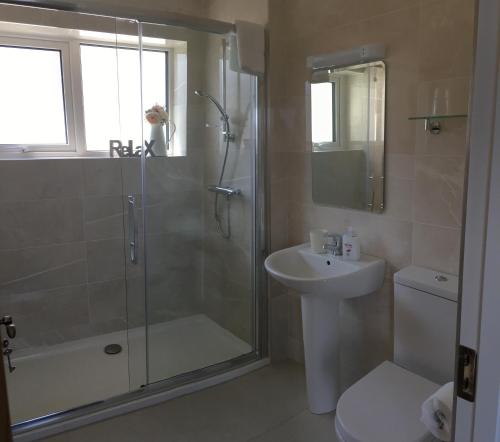 een badkamer met een douche, een wastafel en een toilet bij Conway's Cottage with Sea View Nestling by Cliffs-of-Moher in Liscannor