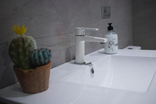 - un lavabo dans la salle de bains avec une bouteille de savon et un cactus dans l'établissement APARTAMENTO EN EL CENTRO A UN MINUTO DE LA PLAYA, à Benidorm