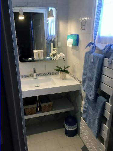 une salle de bain avec un lavabo et un miroir dans l'établissement Villa Les Hortensias B&B, à Arcangues