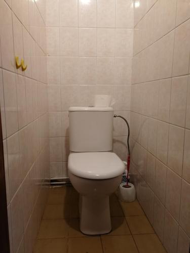 a bathroom with a white toilet in a tiled room at Arvydo Gylio sodyba in Ignalina