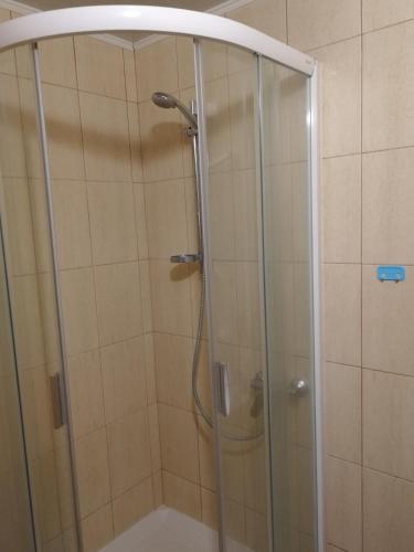 a shower with a glass enclosure in a bathroom at Arvydo Gylio sodyba in Ignalina