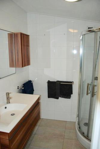 a bathroom with a sink and a shower at Villa Pantano in Berkhout
