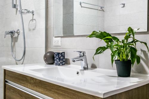 La salle de bains est pourvue d'un lavabo blanc et d'une plante. dans l'établissement Gorgeous Apartment - PH Quartier Del Mar, à Panama City