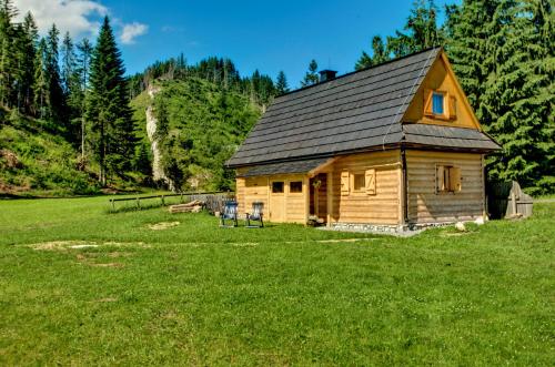 a log cabin in a field of green grass at Jędroskowe Chatki in Witów