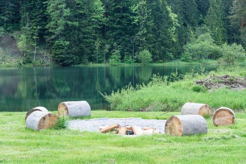 a person laying on the grass next to a body of water at Ferienhaus am See mit Sauna und Whirlpool in Wienerbruck