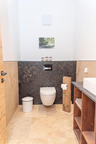 a bathroom with a toilet and a sink at Ferienhaus am See mit Sauna und Whirlpool in Wienerbruck