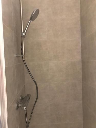 a shower with a shower head in a bathroom at Studio 5 Near Basel Airport in Saint-Louis