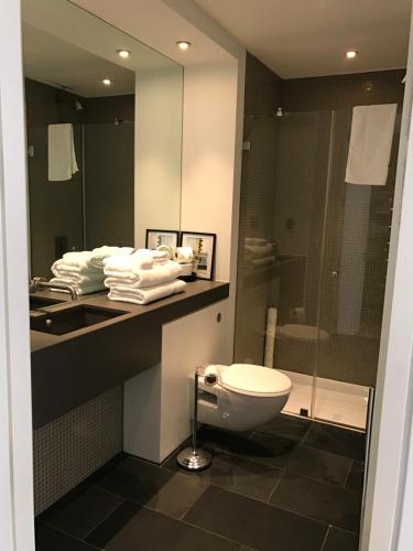 La salle de bains est pourvue de toilettes, d'un lavabo et d'une douche. dans l'établissement Royal William Yard Apartment, à Plymouth