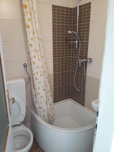 a bathroom with a shower and a toilet and a tub at Peaceful old house in Bovec