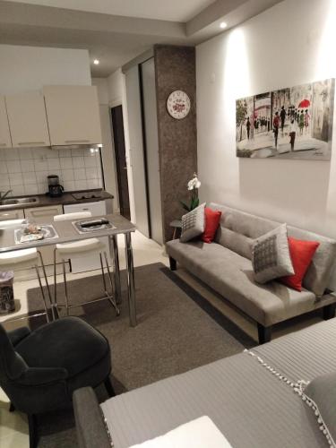 Mini Central Studio
