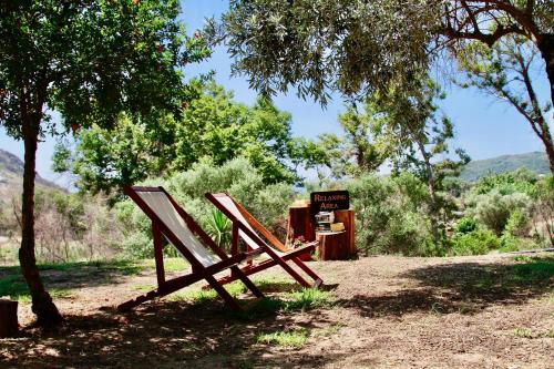 a couple of wooden signs sitting next to a tree at Kykeon Studios in Katelios