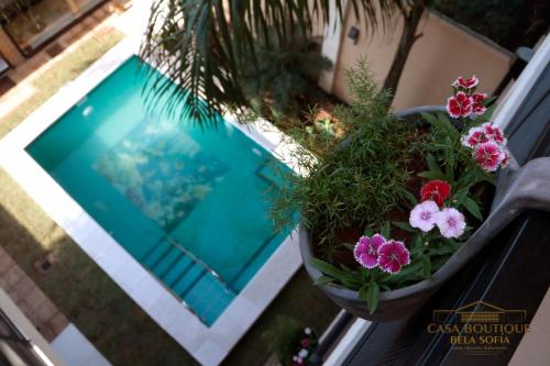 a potted plant sitting on a window sill next to a pool at Casa Boutique Bèla Sofía in Asuncion