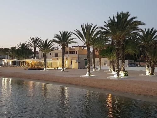 un gruppo di palme su una spiaggia con acqua di Isola Bella a Lampedusa