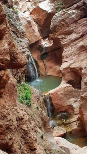a small pool of water in a rocky canyon at Le petit Jardin in Demnat