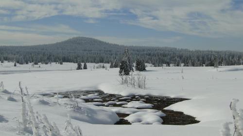 a stream in a snow covered field with trees at Hotel Bozi Dar - Excalibur in Boží Dar