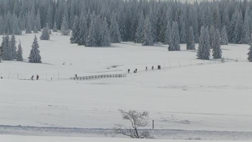 a group of people skiing down a snow covered slope at Hotel Bozi Dar - Excalibur in Boží Dar