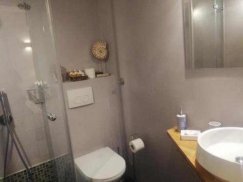 a bathroom with a shower and a toilet and a sink at Camera al Porto Antico in Piran