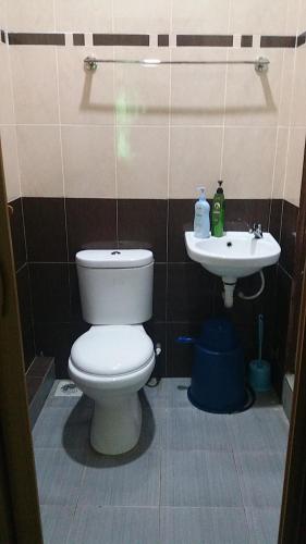 Pasir MasにあるWan Guest Houseのトイレと洗面台付きのバスルーム