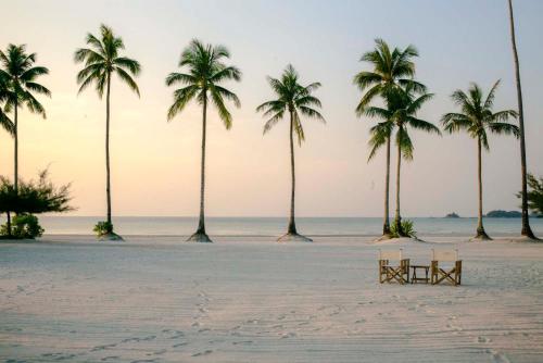 a beach with palm trees and a bench on it at The Sanchaya in Lagoi
