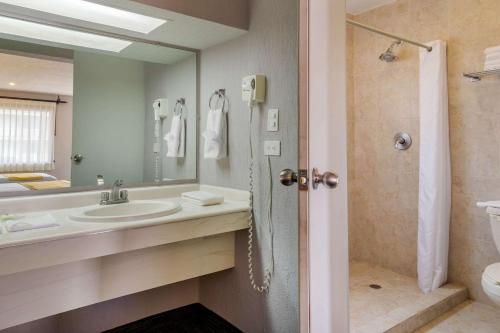 ein Bad mit einem Waschbecken und einer Dusche mit einem Spiegel in der Unterkunft Quality Inn Piedras Negras in Piedras Negras