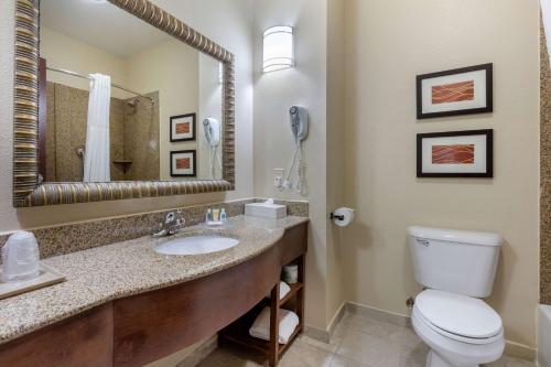 Koupelna v ubytování Comfort Inn & Suites North Little Rock McCain Mall