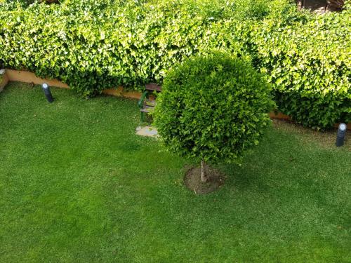 Jardín al aire libre en Albaida Estepona