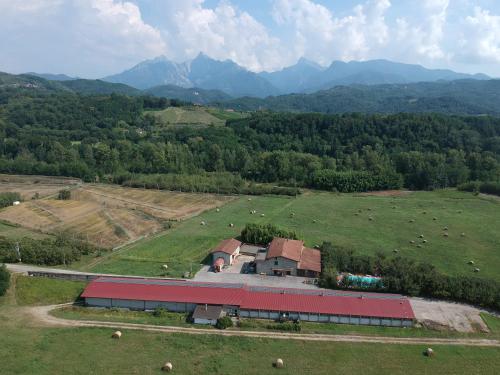 an aerial view of a barn in a field with cows at Agriturismo La Praduscella in Fivizzano