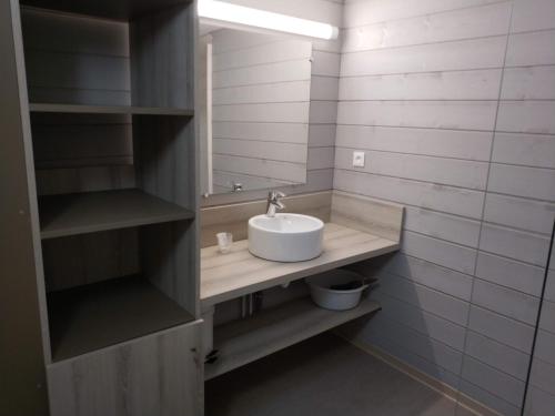 une salle de bain avec un lavabo et un miroir dans l'établissement VTF Les Oyats Sylvadoures, à Maubuisson