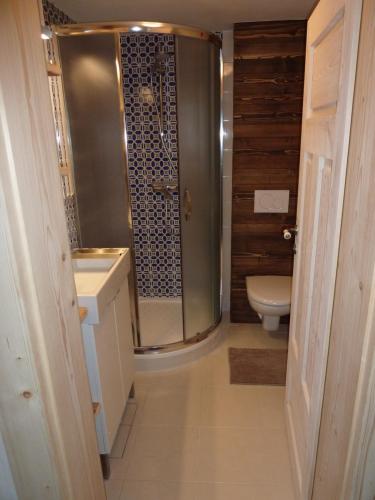 a bathroom with a shower and a toilet at Chalupa Pri vleku. in Donovaly
