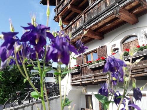 a bunch of purple flowers in front of a building at Schmiedhof in Seefeld in Tirol