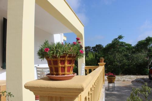 une plante en pot assise sur une balustrade sur une terrasse couverte dans l'établissement La Lanterna delle Fate, à Otrante