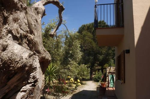 Zahrada ubytování Villa Canale