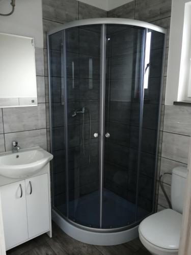 a bathroom with a shower with a sink and a toilet at Domki pod Katalpami in Mikołajki