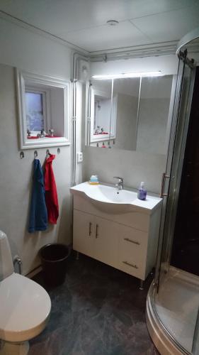 a bathroom with a sink and a shower and a toilet at Soldattorpet Sands in Leksand