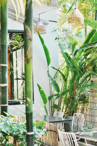 a room with palm trees and chairs and plants at Bokre Angkor Hostel in Siem Reap