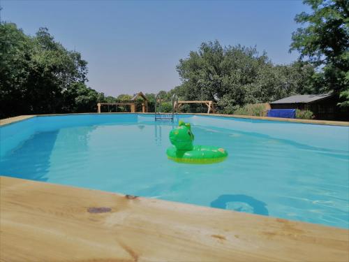 uma grande piscina com um brinquedo insuflável verde em MON FARE em Argelès-sur-Mer