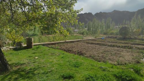 a field of grass with a tree and a road at THE WILLOW HOUSE in Leh