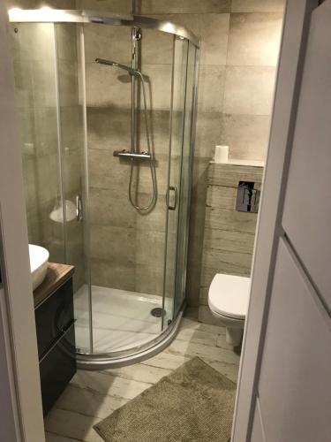 a bathroom with a shower with a toilet and a sink at GOJA in Sztutowo
