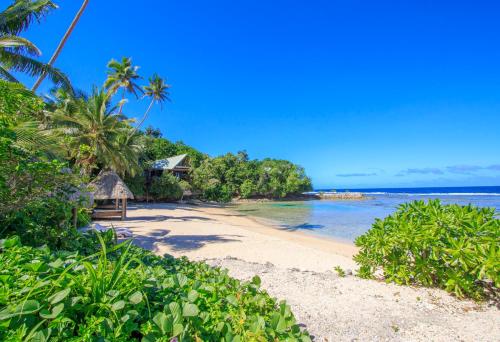 a beach with a house and trees and the ocean at Savasi Island Resort in Savusavu
