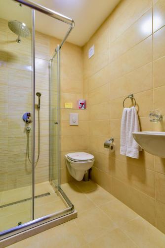 a bathroom with a shower and a toilet and a sink at Apartmani Marina Kopitovic in Petrovac na Moru