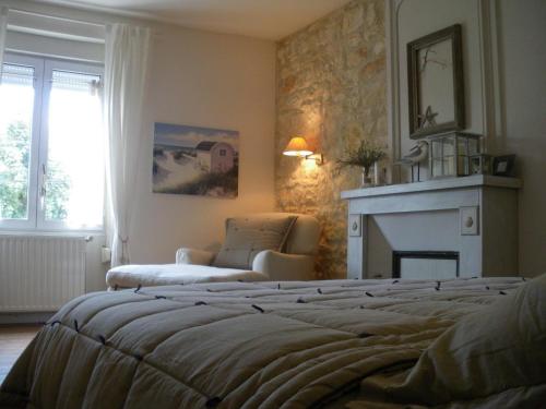 1 dormitorio con 1 cama, 1 silla y chimenea en Les Persiennes, en Saintes