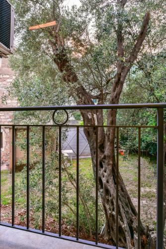 a tree behind a metal fence next to a tree at Apartmani Marina Kopitovic in Petrovac na Moru