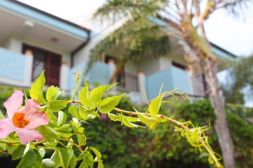 a pink flower on a tree in front of a house at Villa i Minnulareddi in Giardini Naxos