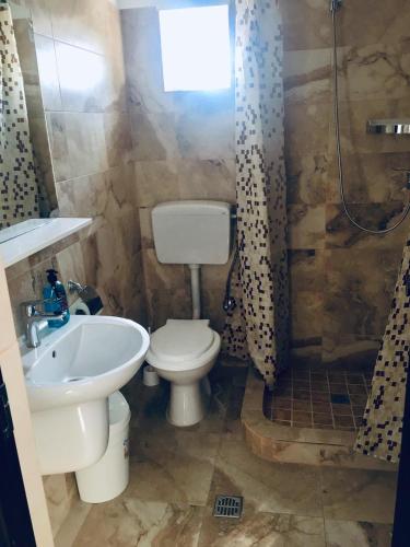 a bathroom with a toilet and a sink and a shower at Vila Alexia in Corbu