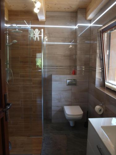 a bathroom with a toilet and a glass shower at Świerkowe Chatki in Olchowiec